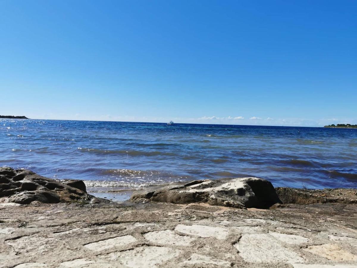 Novigrad Istria App Palcic K 아파트 외부 사진