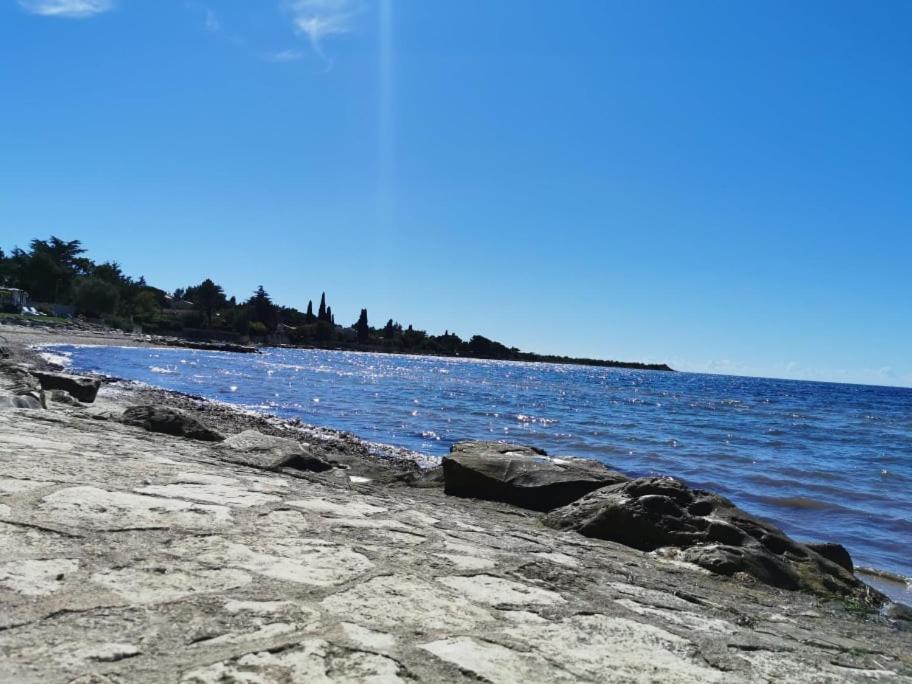 Novigrad Istria App Palcic K 아파트 외부 사진